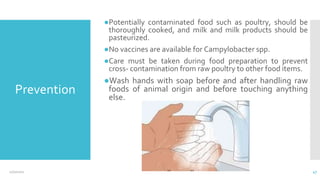 Prevention
●Potentially contaminated food such as poultry, should be
thoroughly cooked, and milk and milk products should be
pasteurized.
●No vaccines are available for Campylobacter spp.
●Care must be taken during food preparation to prevent
cross- contamination from raw poultry to other food items.
●Wash hands with soap before and after handling raw
foods of animal origin and before touching anything
else.
12/2/2021 47
 