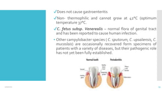 ✔Does not cause gastroenteritis
✔Non- thermophilic and cannot grow at 42°C (optimum
temperature 37°C.
✔C. fetus subsp. Venerealis – normal flora of genital tract
and has been reported to cause human infection.
▪ Other campylobacter species ( C. sputorum, C. upsaliensis, C.
mucoslais) are occasionally recovered form specimens of
patients with a variety of diseases, but their pathogenic role
has not yet been fully established.
12/2/2021 53
 