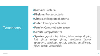 Taxonomy
●Domain: Bacteria
●Phylum: Proteobacteria
●Class: Epsilonproteobacteria
●Order: Campylobacterales
●Family: Campylobacteraceae
●Genus: Campylobacter
●Species: jejuni subsp.jejuni, jejuni subsp. doylei,
lari, fetus subsp. fetus, sputorum biovar
sputourm, conciscus, rectus, gracilis, upsaliensis,
jejuni subsp. venerealsis
6
12/2/2021
 