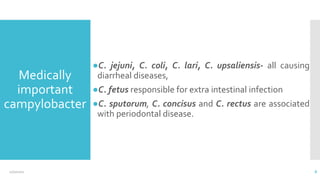 Medically
important
campylobacter
●C. jejuni, C. coli, C. lari, C. upsaliensis- all causing
diarrheal diseases,
●C. fetus responsible for extra intestinal infection
●C. sputorum, C. concisus and C. rectus are associated
with periodontal disease.
8
12/2/2021
 
