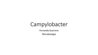 Campylobacter
Fernanda Guerrero
Microbiologia
 