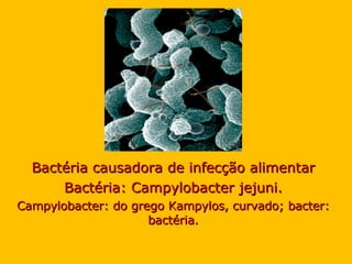 Bactéria causadora de infecção alimentar Bactéria: Campylobacter jejuni. Campylobacter: do grego Kampylos, curvado; bacter: bactéria. 