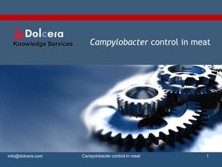 Knowledge Services      Campylobacter control in meat




info@dolcera.com       Campylobacter control in meat   1
 