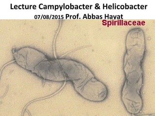 Lecture Campylobacter & Helicobacter
07/08/2015 Prof. Abbas Hayat
 