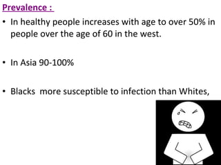 Prevalence :
• In healthy people increases with age to over 50% in
people over the age of 60 in the west.
• In Asia 90-100%
• Blacks more susceptible to infection than Whites,
 