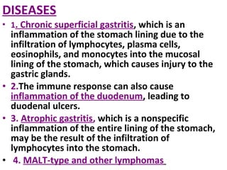 DISEASES
• 1. Chronic superficial gastritis, which is an
inflammation of the stomach lining due to the
infiltration of lymphocytes, plasma cells,
eosinophils, and monocytes into the mucosal
lining of the stomach, which causes injury to the
gastric glands.
• 2.The immune response can also cause
inflammation of the duodenum, leading to
duodenal ulcers.
• 3. Atrophic gastritis, which is a nonspecific
inflammation of the entire lining of the stomach,
may be the result of the infiltration of
lymphocytes into the stomach.
• 4. MALT-type and other lymphomas
 