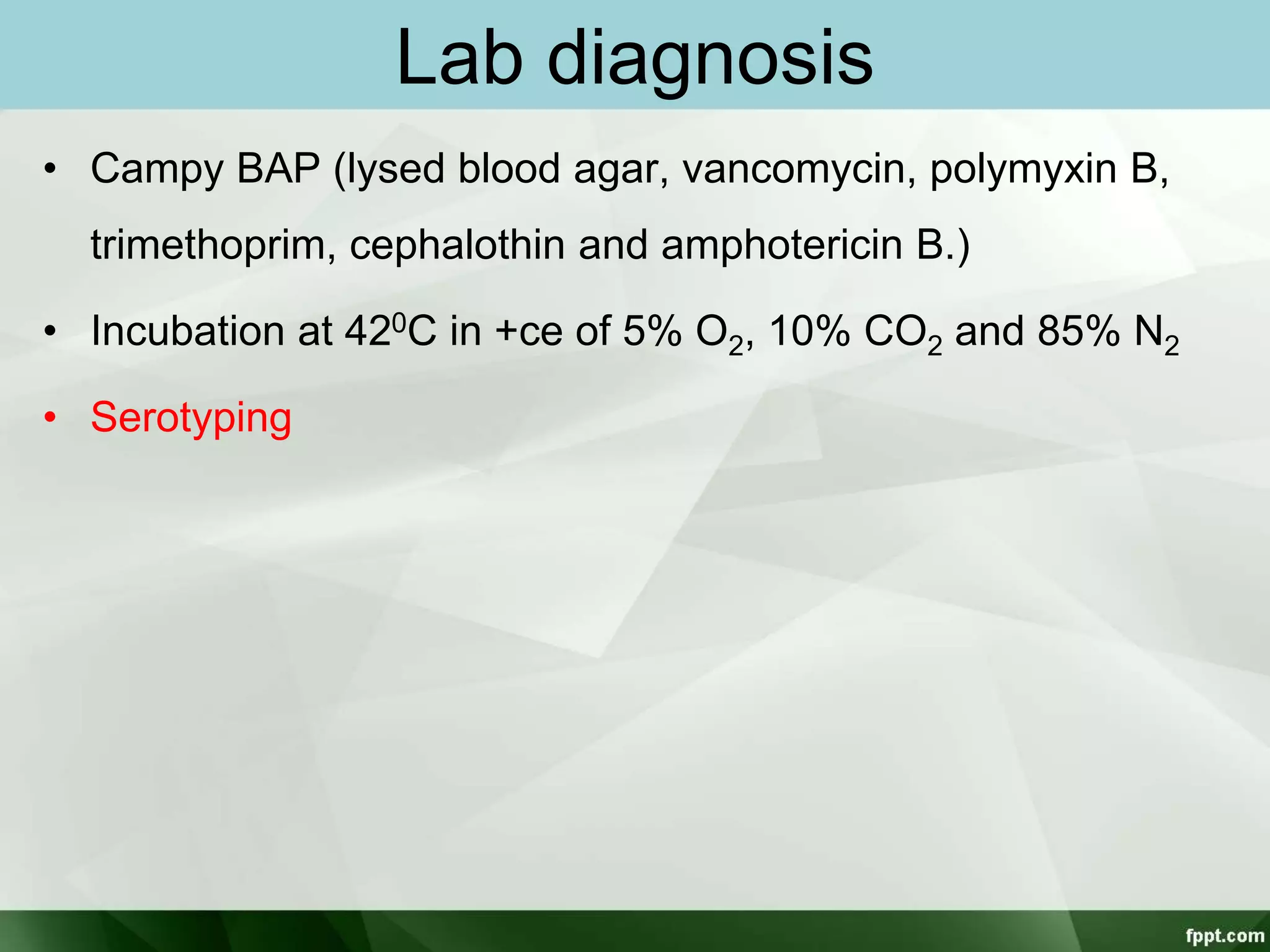 Lab diagnosis
• Campy BAP (lysed blood agar, vancomycin, polymyxin B,
trimethoprim, cephalothin and amphotericin B.)
• Incubation at 420C in +ce of 5% O2, 10% CO2 and 85% N2
• Serotyping
 