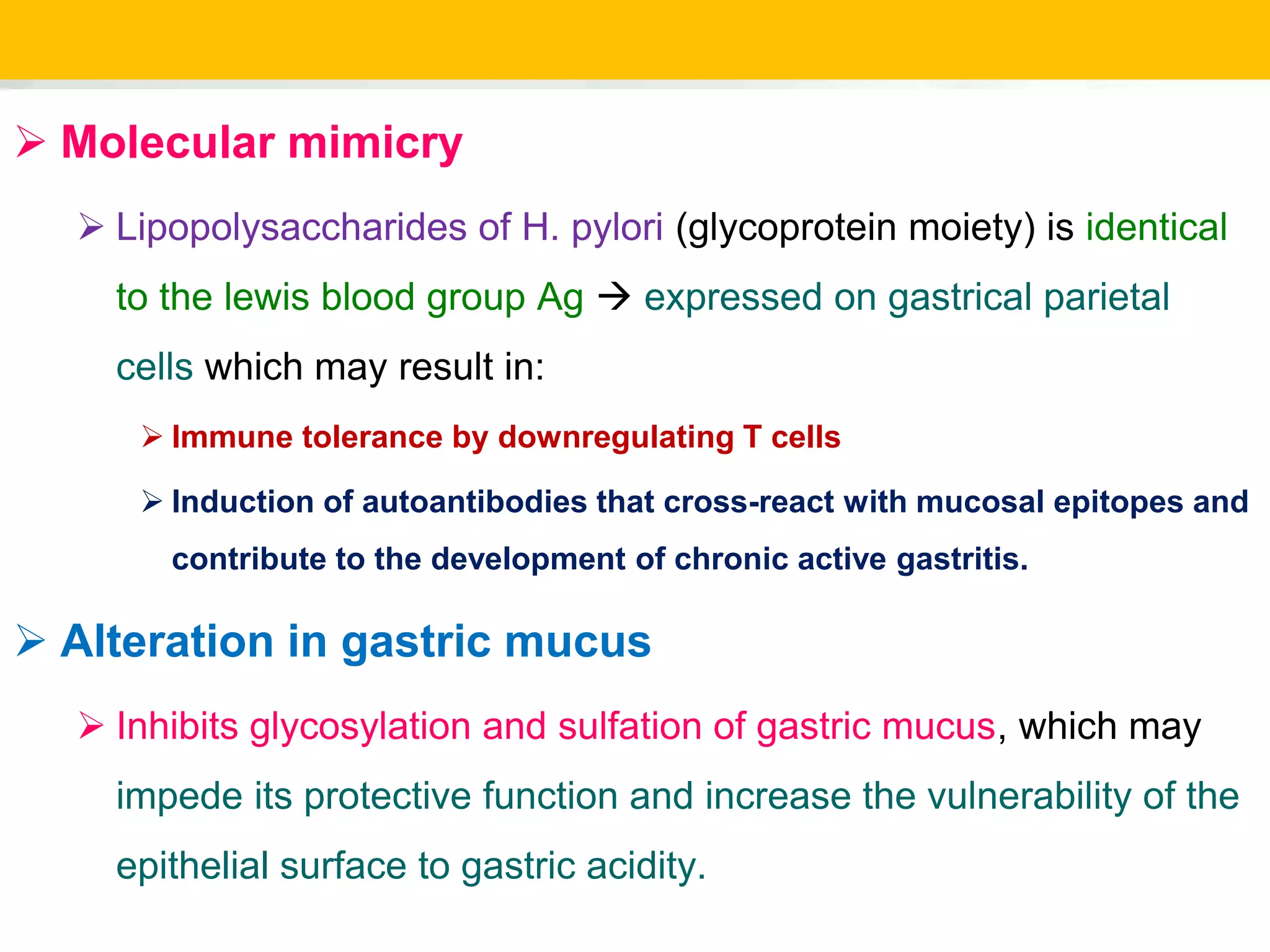  Molecular mimicry
 Lipopolysaccharides of H. pylori (glycoprotein moiety) is identical
to the lewis blood group Ag  expressed on gastrical parietal
cells which may result in:
 Immune tolerance by downregulating T cells
 Induction of autoantibodies that cross-react with mucosal epitopes and
contribute to the development of chronic active gastritis.
 Alteration in gastric mucus
 Inhibits glycosylation and sulfation of gastric mucus, which may
impede its protective function and increase the vulnerability of the
epithelial surface to gastric acidity.
 