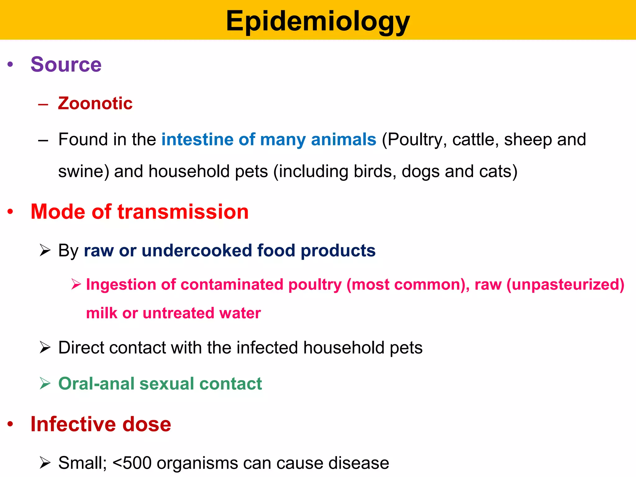 Epidemiology
• Source
– Zoonotic
– Found in the intestine of many animals (Poultry, cattle, sheep and
swine) and household pets (including birds, dogs and cats)
• Mode of transmission
 By raw or undercooked food products
 Ingestion of contaminated poultry (most common), raw (unpasteurized)
milk or untreated water
 Direct contact with the infected household pets
 Oral-anal sexual contact
• Infective dose
 Small; <500 organisms can cause disease
 