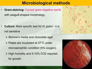 Microbiological methods
• Gram-staining: Curved gram-negative bacilli
with seagull-shaped morphology.
• Culture: Most specific test for H. pylori - it is
not sensitive
 Skirrow’s media and chocolate agar
 Plates are incubated at 37°C under
microaerophilic condition (5% oxygen).
 High humidity and 5-10% CO2 required
for growth.
 