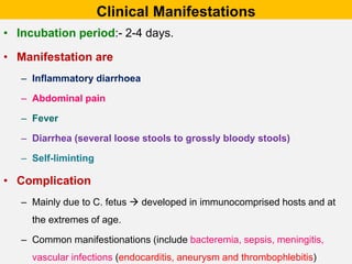 Clinical Manifestations
• Incubation period:- 2-4 days.
• Manifestation are
– Inflammatory diarrhoea
– Abdominal pain
– Fever
– Diarrhea (several loose stools to grossly bloody stools)
– Self-liminting
• Complication
– Mainly due to C. fetus  developed in immunocomprised hosts and at
the extremes of age.
– Common manifestionations (include bacteremia, sepsis, meningitis,
vascular infections (endocarditis, aneurysm and thrombophlebitis)
 