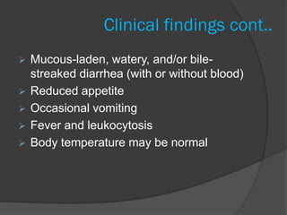 Clinical findings cont..
   Mucous-laden, watery, and/or bile-
    streaked diarrhea (with or without blood)
   Reduced appetite
   Occasional vomiting
   Fever and leukocytosis
   Body temperature may be normal
 