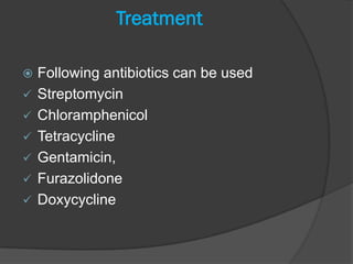 Treatment

   Following antibiotics can be used
   Streptomycin
   Chloramphenicol
   Tetracycline
   Gentamicin,
   Furazolidone
   Doxycycline
 