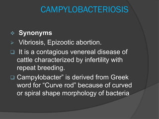 CAMPYLOBACTERIOSIS

  Synonyms
 Vibriosis, Epizootic abortion.
 It is a contagious venereal disease of
  cattle characterized by infertility with
  repeat breeding.
 Campylobacter” is derived from Greek
  word for “Curve rod” because of curved
  or spiral shape morphology of bacteria
 