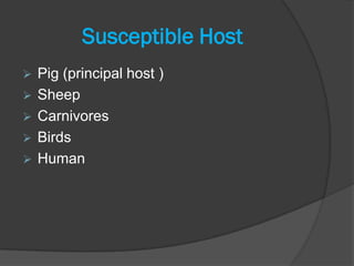 Susceptible Host
   Pig (principal host )
   Sheep
   Carnivores
   Birds
   Human
 