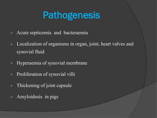 Pathogenesis
   Acute septicemia and bacteraemia

   Localization of organisms in organ, joint, heart valves and
    synovial fluid

   Hyperaemia of synovial membrane

   Proliferation of synovial villi

   Thickening of joint capsule

   Amyloidosis in pigs
 
