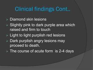 Clinical findings Cont..
   Diamond skin lesions
   Slightly pink to dark purple area which
    raised and firm to touch
   Light to light purplish red lesions
   Dark purplish angry lesions may
    proceed to death.
   The course of acute form is 2-4 days
 