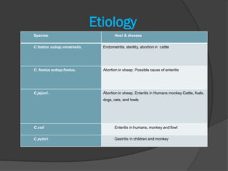 Etiology
Species                               Host & disease


C.foetus subsp.venerealis.     Endometritis, sterility, abortion in cattle




C. foetus subsp.foetus.        Abortion in sheep. Possible cause of enteritis




C.jejuni .                     Abortion in sheep. Enteritis in Humans monkey Cattle, foals,
                               dogs, cats, and fowls




C.coli                                Enteritis in humans, monkey and fowl


C.pylori                              Gastritis in children and monkey
 