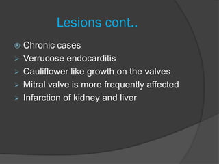 Lesions cont..
   Chronic cases
   Verrucose endocarditis
   Cauliflower like growth on the valves
   Mitral valve is more frequently affected
   Infarction of kidney and liver
 