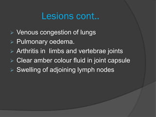 Lesions cont..
   Venous congestion of lungs
   Pulmonary oedema.
   Arthritis in limbs and vertebrae joints
   Clear amber colour fluid in joint capsule
   Swelling of adjoining lymph nodes
 