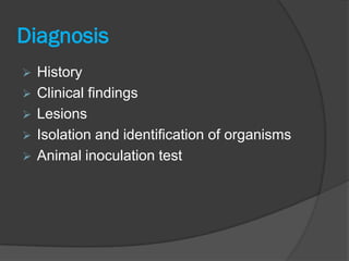 Diagnosis
   History
   Clinical findings
   Lesions
   Isolation and identification of organisms
   Animal inoculation test
 