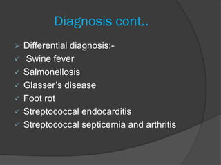 Diagnosis cont..
   Differential diagnosis:-
   Swine fever
   Salmonellosis
   Glasser’s disease
   Foot rot
   Streptococcal endocarditis
   Streptococcal septicemia and arthritis
 