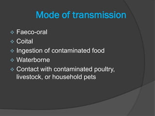Mode of transmission
 Faeco-oral
 Coital
 Ingestion of contaminated food
 Waterborne
 Contact with contaminated poultry,
  livestock, or household pets
 