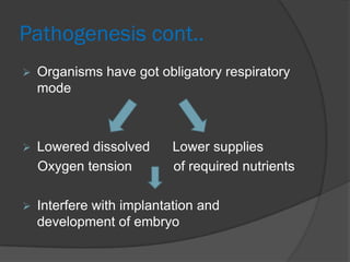 Pathogenesis cont..
   Organisms have got obligatory respiratory
    mode



   Lowered dissolved      Lower supplies
    Oxygen tension         of required nutrients

   Interfere with implantation and
    development of embryo
 