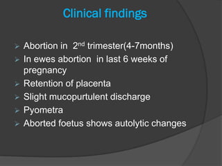 Clinical findings

   Abortion in 2nd trimester(4-7months)
   In ewes abortion in last 6 weeks of
    pregnancy
   Retention of placenta
   Slight mucopurtulent discharge
   Pyometra
   Aborted foetus shows autolytic changes
 
