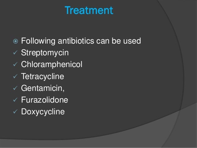 Can Chloramphenicol Be Used On Dogs Can Chloramphenicol Be Used On Dogs
