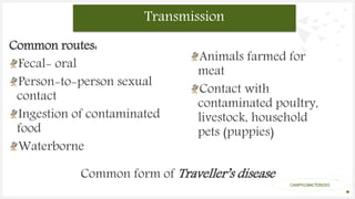 Your Logo or Name Here
Common routes:
Fecal- oral
Person-to-person sexual
contact
Ingestion of contaminated
food
Waterborne
Transmission
CAMPYLOBACTERIOSIS
Animals farmed for
meat
Contact with
contaminated poultry,
livestock, household
pets (puppies)
Common form of Traveller’s disease
 