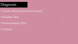Diagnosis
• Gram staining and microscopy
•Oxidase Test
•Immunoassay Test
•Culture
Arrow shows
C. jejuni
 