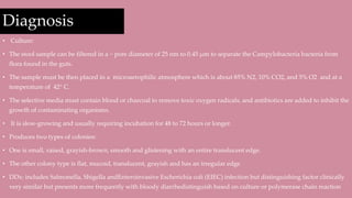 Diagnosis
• Culture:
• The stool sample can be filtered in a ~ pore diameter of 25 nm to 0.45 µm to separate the Campylobacteria bacteria from
flora found in the guts.
• The sample must be then placed in a microaerophilic atmosphere which is about 85% N2, 10% CO2, and 5% O2 and at a
temperature of 42° C.
• The selective media must contain blood or charcoal to remove toxic oxygen radicals, and antibiotics are added to inhibit the
growth of contaminating organisms.
• It is slow-growing and usually requiring incubation for 48 to 72 hours or longer.
• Produces two types of colonies:
• One is small, raised, grayish-brown, smooth and glistening with an entire translucent edge.
• The other colony type is flat, mucoid, translucent, grayish and has an irregular edge
• DDx: includes Salmonella, Shigella andEnteroinvasive Escherichia coli (EIEC) infection but distinguishing factor clinically
very similar but presents more frequently with bloody diarrhedistinguish based on culture or polymerase chain reaction
 