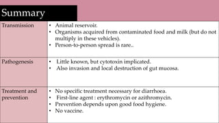 Summary
Transmission • Animal reservoir.
• Organisms acquired from contaminated food and milk (but do not
multiply in these vehicles).
• Person-to-person spread is rare..
Pathogenesis • Little known, but cytotoxin implicated.
• Also invasion and local destruction of gut mucosa.
Treatment and
prevention
• No specific treatment necessary for diarrhoea.
• First-line agent : erythromycin or azithromycin.
• Prevention depends upon good food hygiene.
• No vaccine.
 
