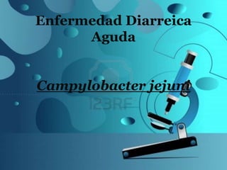 Enfermedad Diarreica
Aguda
Campylobacter jejuni
 