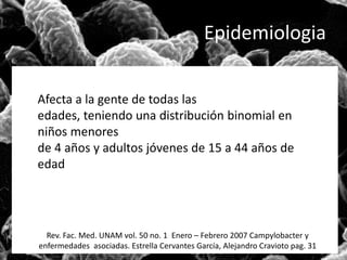 Epidemiologia 
Afecta a la gente de todas las 
edades, teniendo una distribución binomial en 
niños menores 
de 4 años y adultos jóvenes de 15 a 44 años de 
edad 
Rev. Fac. Med. UNAM vol. 50 no. 1 Enero – Febrero 2007 Campylobacter y 
enfermedades asociadas. Estrella Cervantes García, Alejandro Cravioto pag. 31 
 