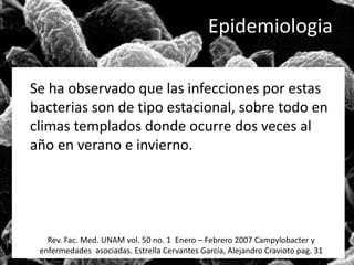 Epidemiologia 
Se ha observado que las infecciones por estas 
bacterias son de tipo estacional, sobre todo en 
climas templados donde ocurre dos veces al 
año en verano e invierno. 
Rev. Fac. Med. UNAM vol. 50 no. 1 Enero – Febrero 2007 Campylobacter y 
enfermedades asociadas. Estrella Cervantes García, Alejandro Cravioto pag. 31 
 