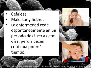 • Cefaleas 
• Malestar y fiebre. 
• La enfermedad cede 
espontáneamente en un 
periodo de cinco a ocho 
días, pero a veces 
continúa por más 
tiempo. 
Jawetz. Microbiología Medica . 25ª edición. Editorial Mc Graw Hill. 2010. pag 240 
 