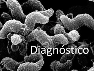 Diagnóstico 
 