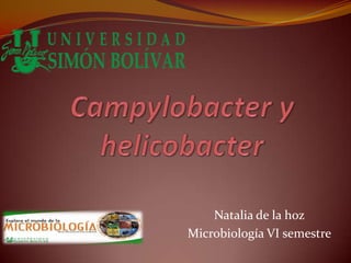 Natalia de la hoz
Microbiología VI semestre
 