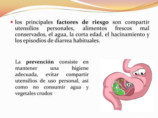  los principales factores de riesgo son compartir
 utensilios personales, alimentos frescos mal
 conservados, el agua, la corta edad, el hacinamiento y
 los episodios de diarrea habituales.


 La prevención consiste en
 mantener       una     higiene
 adecuada, evitar compartir
 utensilios de uso personal, así
 como no consumir agua y
 vegetales crudos
 