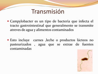 Transmisión
 Campylobacter es un tipo de bacteria que infecta el
 tracto gastrointestinal que generalmente se transmite
 atreves de agua y alimentos contaminados

 Esto incluye carnes ,leche o productos lácteos no
 pasteurizados , agua que se extrae de fuentes
 contaminadas
 