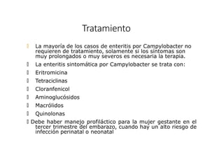 Tratamiento
🞅 La mayoría de los casos de enteritis por Campylobacter no
requieren de tratamiento, solamente si los síntomas son
muy prolongados o muy severos es necesaria la terapia.
🞅 La enteritis sintomática por Campylobacter se trata con:
🞅 Eritromicina
🞅 Tetraciclinas
🞅 Cloranfenicol
🞅 Aminoglucósidos
🞅 Macrólidos
🞅 Quinolonas
🞅 Debe haber manejo profiláctico para la mujer gestante en el
tercer trimestre del embarazo, cuando hay un alto riesgo de
infección perinatal o neonatal
 