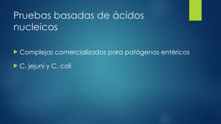 Pruebas basadas de ácidos
nucleicos
 Complejas comercializados para patógenos entéricos
 C. jejuni y C. coli
 