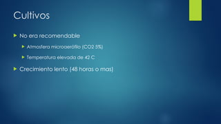 Cultivos
 No era recomendable
 Atmosfera microaerófilo (CO2 5%)
 Temperatura elevada de 42 C
 Crecimiento lento (48 horas o mas)
 