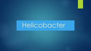 Helicobacter
 