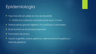 Epidemiologia
 Tasa mas alta en países en vías de desarrollo
 70/90% de la población colonizada (antes de los 10 años)
 Disminuyendo gracias higiene y Tx a individuos colonizados
 El ser humano es el principal reservorio
 Transmisión fecal oral
 Asocia a gastritis, ulceras gástricas, adenocarcinoma gástrico y
linfomas gástricos
 