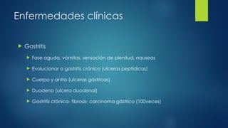 Enfermedades clínicas
 Gastritis
 Fase aguda, vómitos, sensación de plenitud, nauseas
 Evolucionar a gastritis crónica (ulceras peptídicas)
 Cuerpo y antro (ulceras gástricas)
 Duodeno (ulcera duodenal)
 Gastritis crónica- fibrosis- carcinoma gástrico (100veces)
 