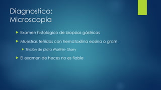 Diagnostico:
Microscopia
 Examen histológico de biopsias gástricas
 Muestras teñidas con hematoxilina eosina o gram
 Tinción de plata Warthin- Starry
 El examen de heces no es fiable
 