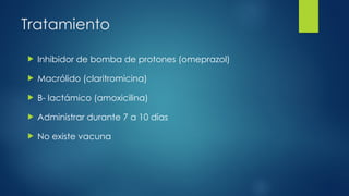 Tratamiento
 Inhibidor de bomba de protones (omeprazol)
 Macrólido (claritromicina)
 B- lactámico (amoxicilina)
 Administrar durante 7 a 10 días
 No existe vacuna
 